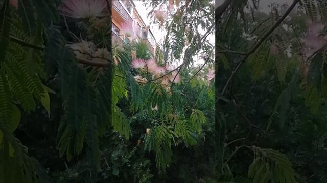 В гостях у дяди Вани ?