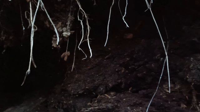 Разведка на старой советской свалке. Выезд №2