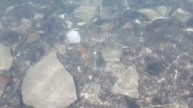 Узбекистан Ташкент чорвак белый песок