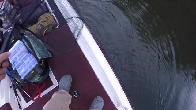 BIG SPRING BASS on my Favorite JIGS!