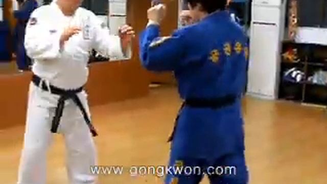 (23)Gongkwon yusul instructor seminar (Korea jiu jitsu Hapkido)