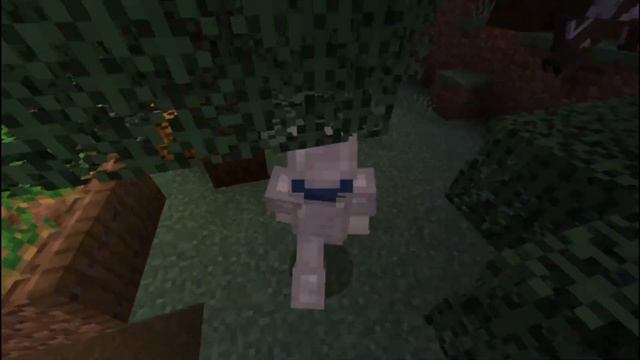 Loled's Animations - Trailer (Minecraft Bedrock Edition)