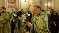 Православные отмечают Вербное воскресенье 28 апреля 0+