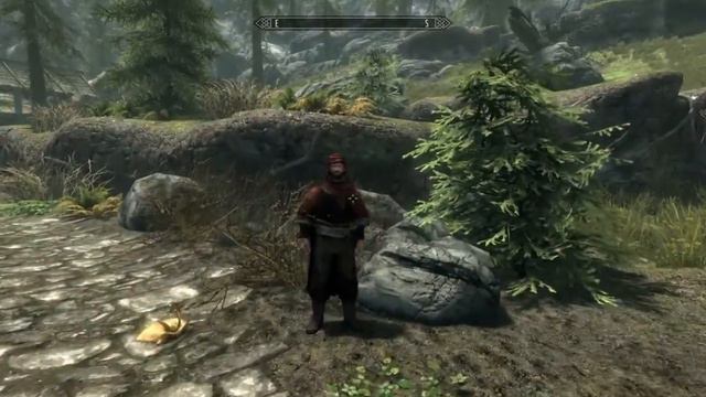 Skyrim  The Alikiri Follower Mod