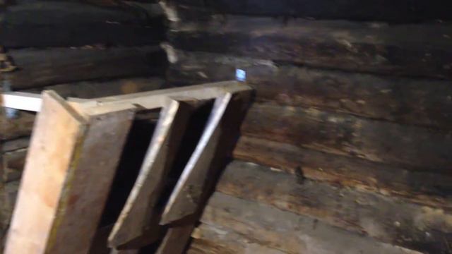 Наши первые животные, 2 часть - готовим для них домик.