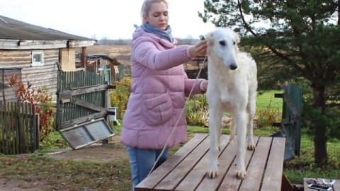 LUNNAJA RADUGA NEZNOST"