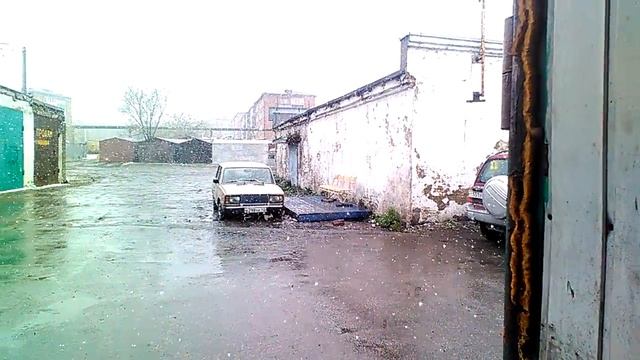 Майские мухи.