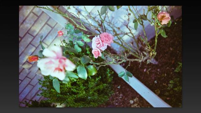 Lightroom 6/CC Slideshow Test