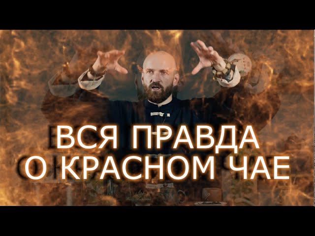 Красный чай - база знаний | Дянь Хун | Сяо Чжун | Цзинь Цзюнь Мэй