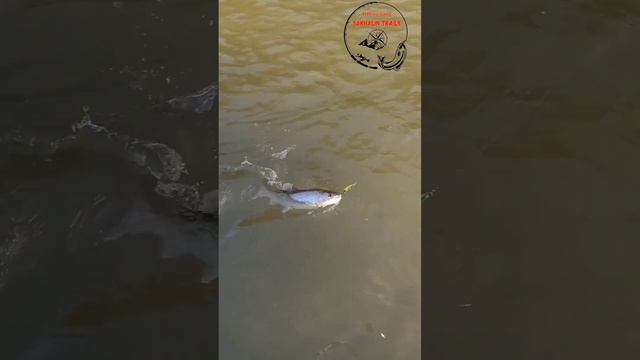 Таймешок/Сахалин/Подпишись☝