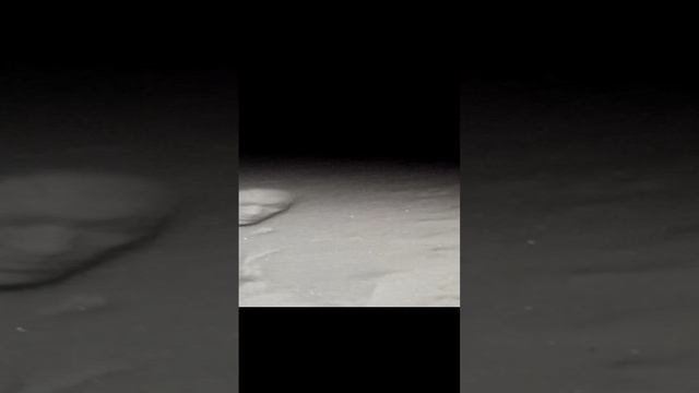 прикол лицом в снег