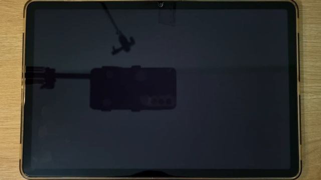 Squid Crazy, 456 Survival Challenge, Huggy Squid, 456 Red Light, Green Light, 456 Run Challenge