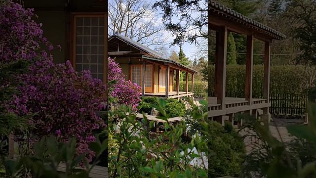 Японский домик в Ботаническом саду