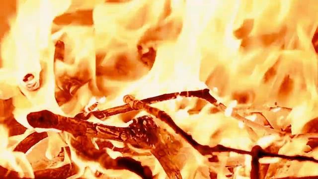 Howling Hearth: Relaxing White Noise of Wood Fire Crackling Sounds | Cozy Fireplace Ambience, ASMR