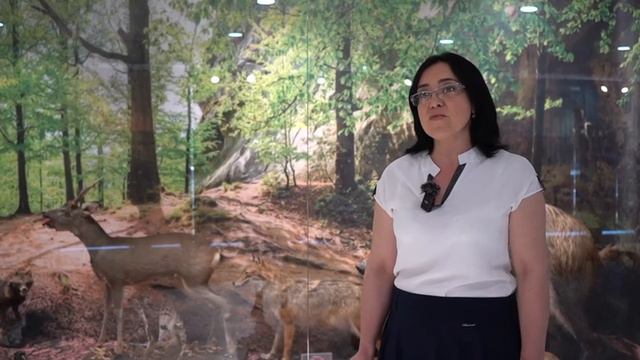 Экскурсовод музея «Природа Прикаспия» Эльвира Мирзоева рассказывает про красивое животное Косулю