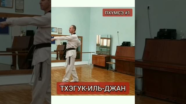 ПХУМСЭ 1: ТХЭГУК-ИЛЬ-ДЖАН