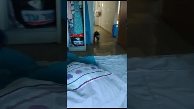 Иногда хочется хлебушек