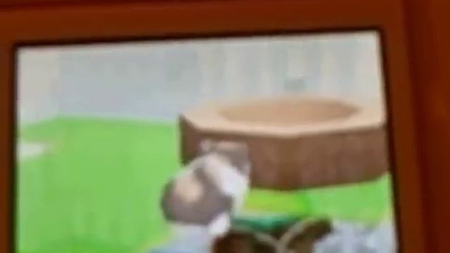 Hamsterz Life 2 Nintendo DS