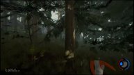 The Forest #2 | Мы взрываем черепашку