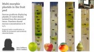 Sustainable Production of Nutritious Food in Abundance - A Research Overview