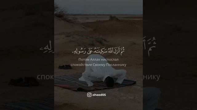 Коран || Сура Ат-Тауба (Покаяние) Аллах одарил вас победой во многих местах... [9:25-26]