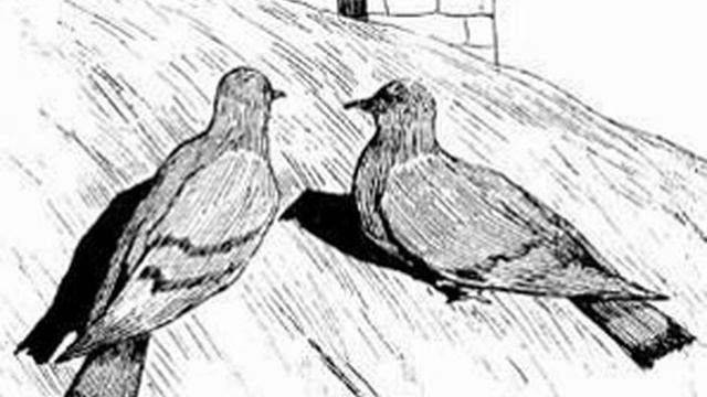"Два голубя"; И. А. Крылов