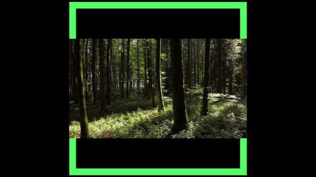 Роботы (не сведенная )