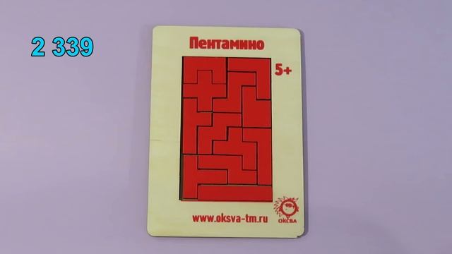 ПЕНТАМИНО - прямоугольник 6 х 10, 5 х 12, 4 х 15, 3 х 20 и 5 х 6 - Занятие 9