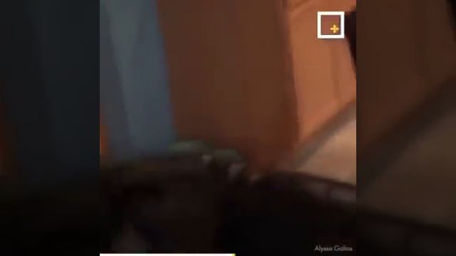 Иисус дает жизнь