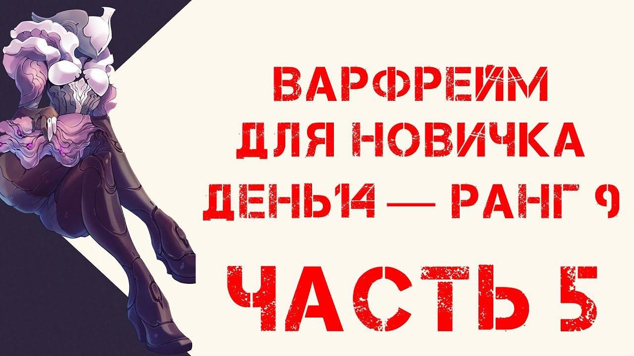 Варфрейм для новичка / день 14 — ранг 9 часть 5