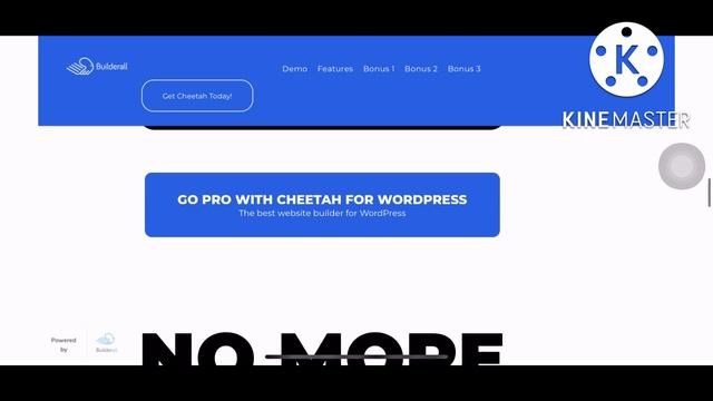 (Cheetah Wordpress)Review | is it worth for money❓❓❓