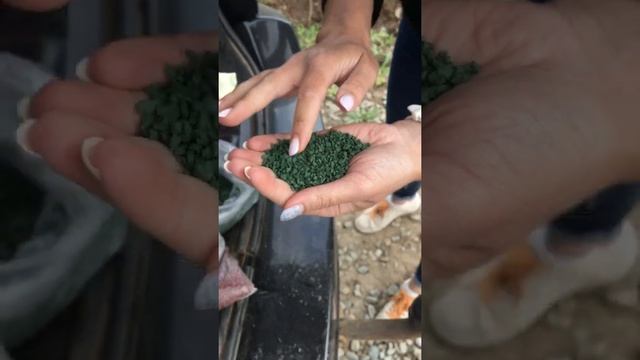 Резиновое покрытие в ландшафте