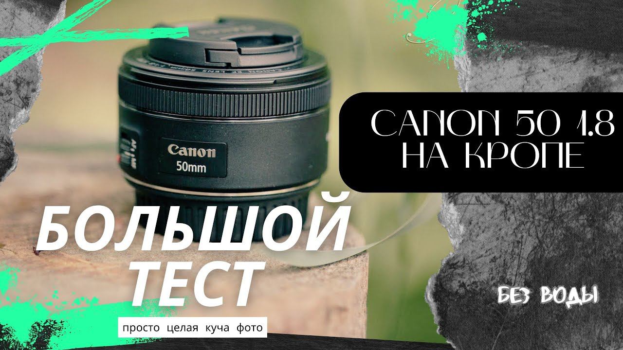 Сanon 50 1.8 stm на кропе, большой фото тест.