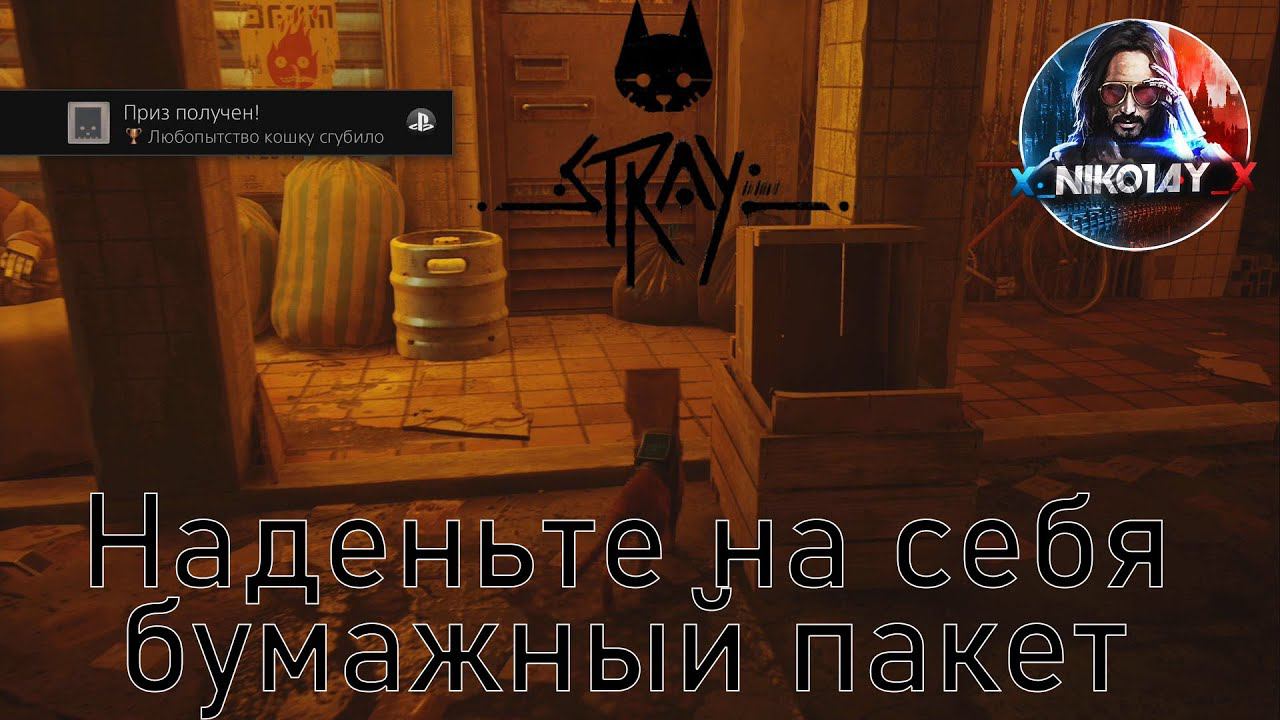 Stray бумажный пакет [Curiosity Killed the Cat / Любопытство кошку сгубило]