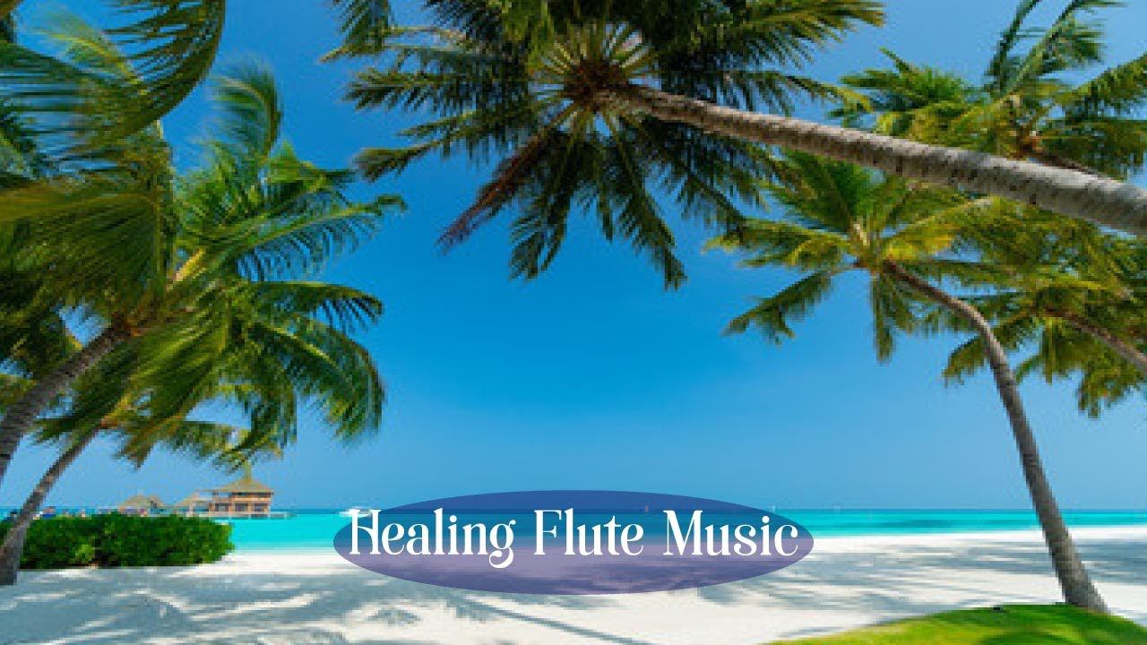 Healing Meditation Video, Relaxation and Healing, World of Musical Relaxation