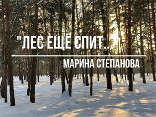 Лес ещё спит