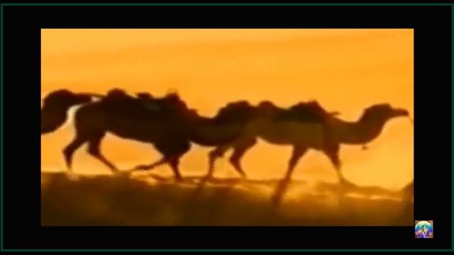 Стихотворение-пролог книги «Русское Бардо»