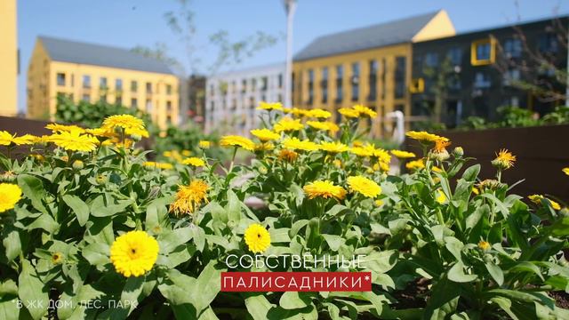 Времена года в ЖК Дом Лес Парк и ЖК Биография