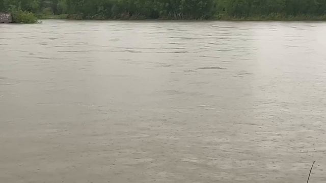 Из-за дождей поднялся уровень воды в реках Кузбасса.

Видео Мыски, Мрас-Су.