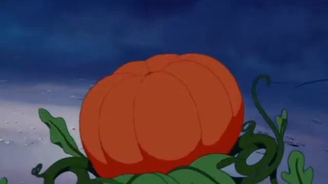 Чудеса бывают!