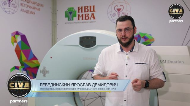 CIVA2024_Лебединский Ярослав