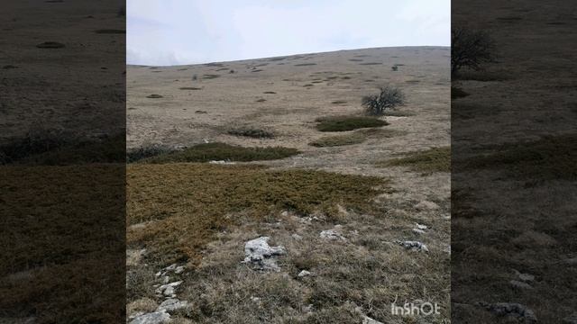 Сиреневый туман (инструментал.) - Марлен (Juga)