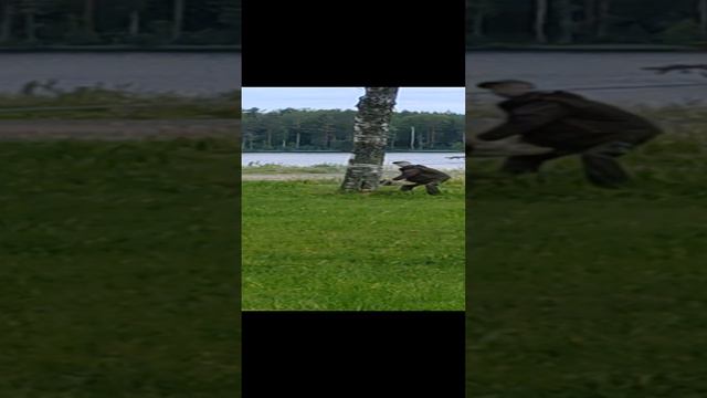 1000046214.mp4