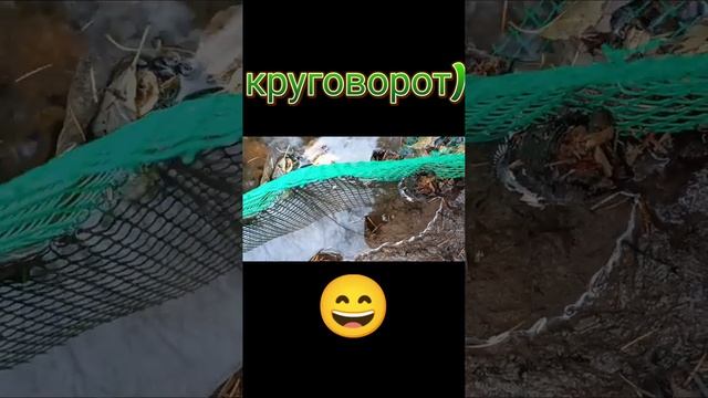 до конца?
