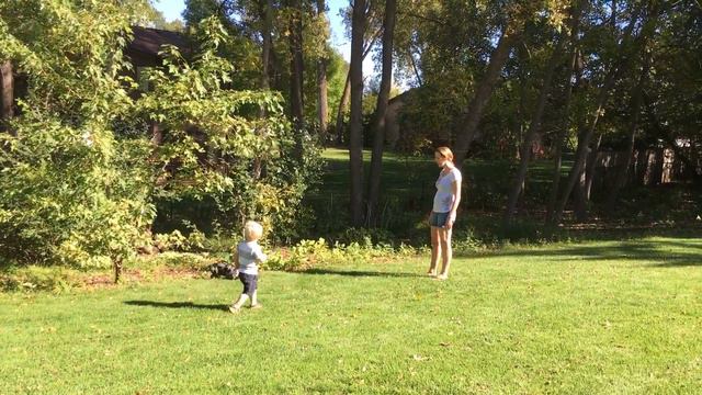 Colin and Jessie chasing bo in the back yard