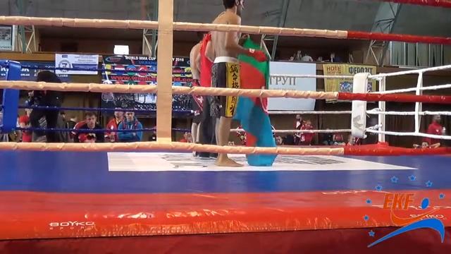 Бой 4 победа.РИНГ Саньда.05.12-15. Чемпионат Европы по кунгфу