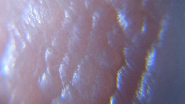 Микроскоп 100-1000x ценой в пачку сигарет