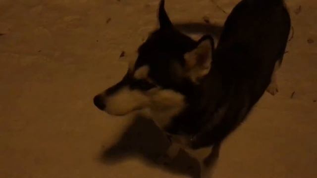 VLOG|DECEMBER 2017 +Ежедневник