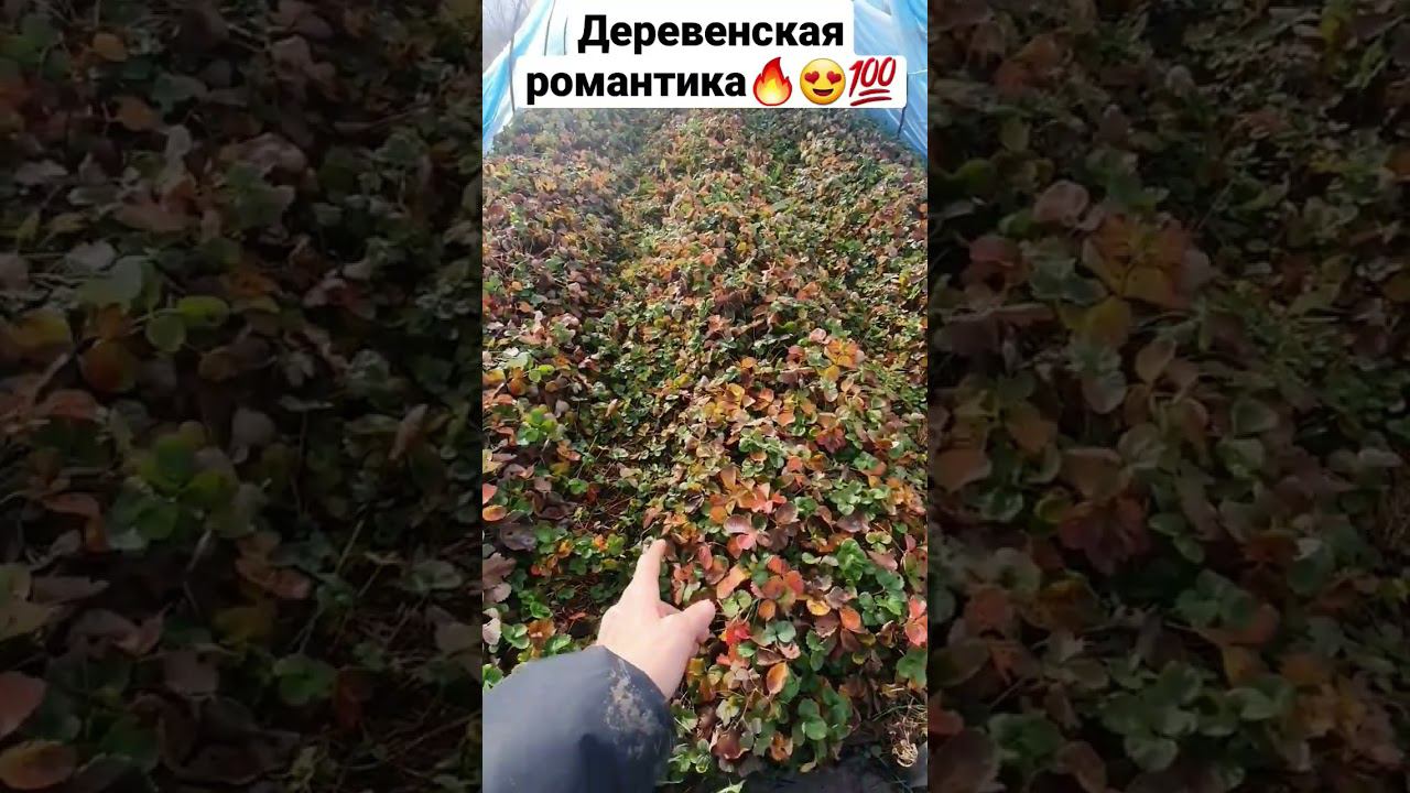 Я не знаю лучшего кайфа