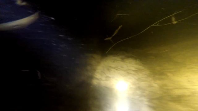 Дно Невы с аквалангом. Дворцовая набережная. Превью